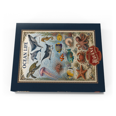 Darstellung des Puzzle Motivs Ocean Life Vintage Art Poster Ocean Life Vintage Art Poster 100 Puzzle Schachtel Ansicht3
