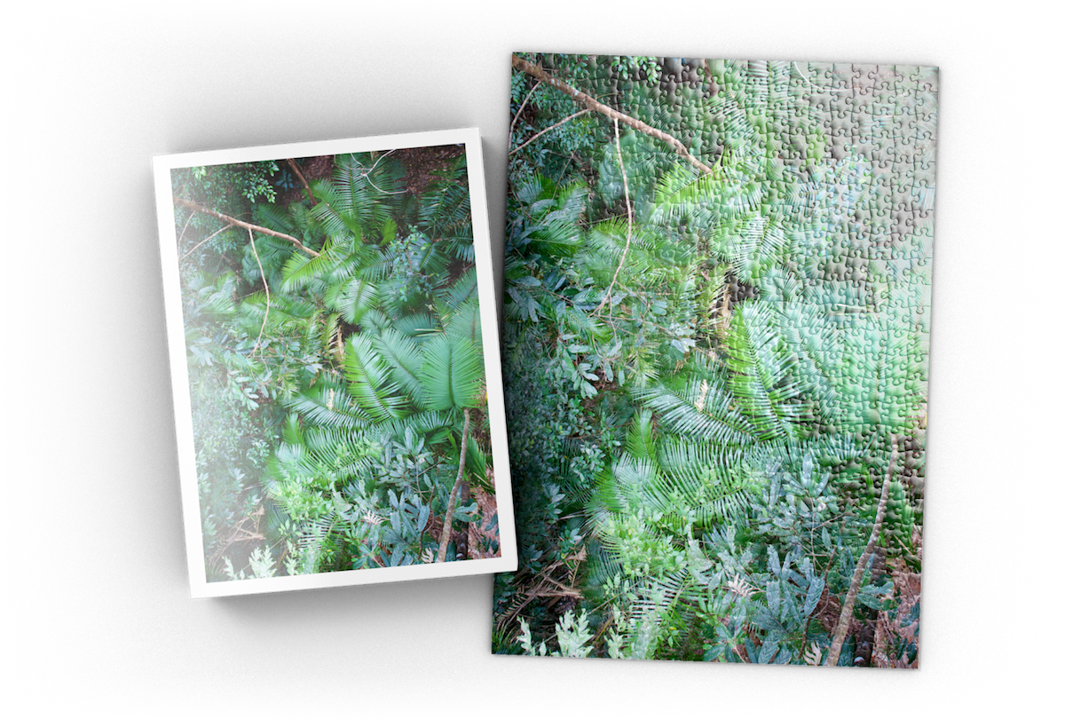 Darstellung eines Icons/Bild zur besseren Erklärung des zugehörigen Textes 