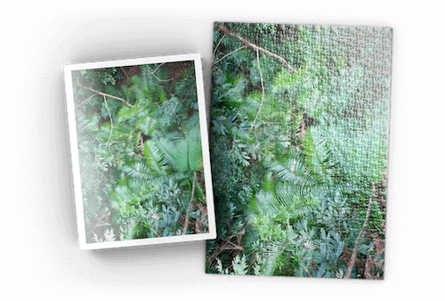 Darstellung eines Puzzles mit zugehöriger Puzzlebox 