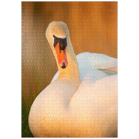 Darstellung des Puzzle-Motivs Schwanenblick – Puzzleteile: 1000