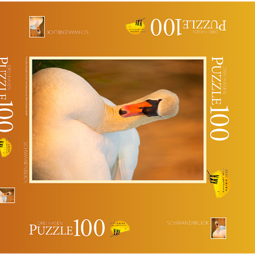 Schwanenblick 100 Puzzle Schachtel 3D Modell