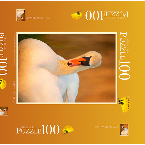 Schwanenblick 100 Puzzle Schachtel 3D Modell