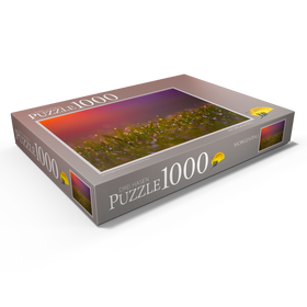 Darstellung des Puzzle Motivs Morgentau - Puzzleteile: 1000