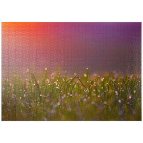 Darstellung des Puzzle-Motivs Morgentau – Puzzleteile: 1000