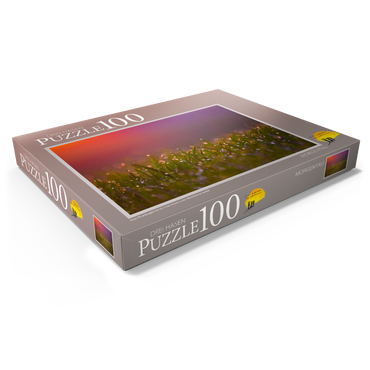 Morgentau 100 Puzzle Schachtel Ansicht1