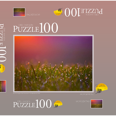Morgentau 100 Puzzle Schachtel 3D Modell