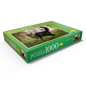 Darstellung des Puzzle Motivs Kleine Nala - Puzzleteile: 1000