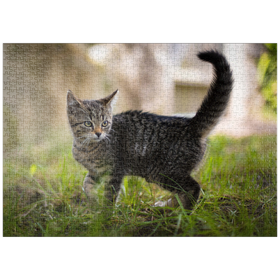 Darstellung des Puzzle-Motivs Kleine Nala – Puzzleteile: 1000