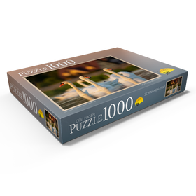 Alternative Darstellung des Puzzle-Motivs Schwanen-Trio – Puzzleteile: 1000