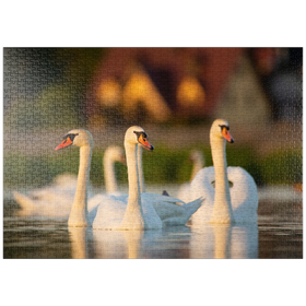 Darstellung des Puzzle Motivs Schwanen-Trio - Puzzleteile: 1000