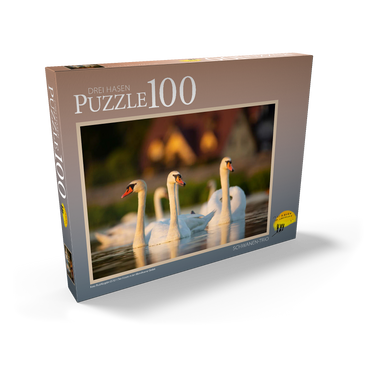 Schwanen-Trio 100 Puzzle Schachtel Ansicht2