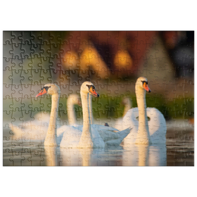 Darstellung des Puzzle-Motivs Schwanen-Trio – Puzzleteile: 200