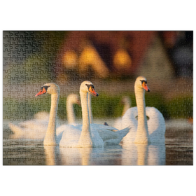 Darstellung des Puzzle Motivs Schwanen-Trio - Puzzleteile: 500