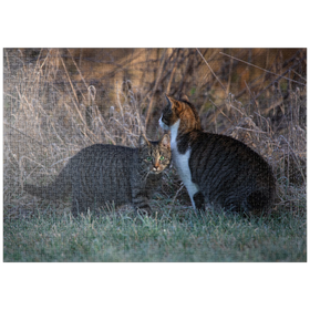 Darstellung des Puzzle-Motivs Nala und Minka – Puzzleteile: 1000