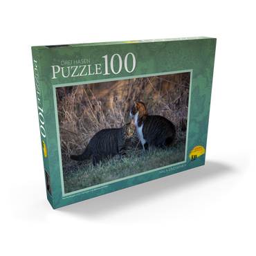 Nala und Minka 100 Puzzle Schachtel Ansicht2
