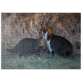 Darstellung des Puzzle Motivs Nala und Minka - Puzzleteile: 500