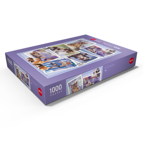 Darstellung des Puzzle Motivs Cats - Monika Wegner - Little Friends - Puzzleteile: 1000