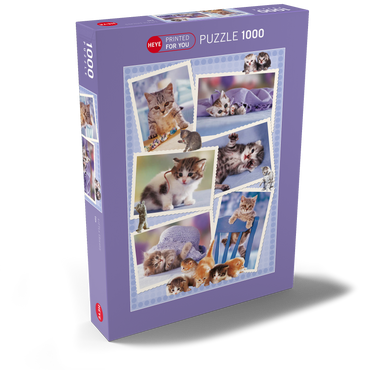 Cats - Monika Wegner - Little Friends 1000 Puzzle Schachtel Ansicht2