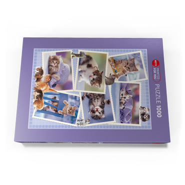 Cats - Monika Wegner - Little Friends 1000 Puzzle Schachtel Ansicht3