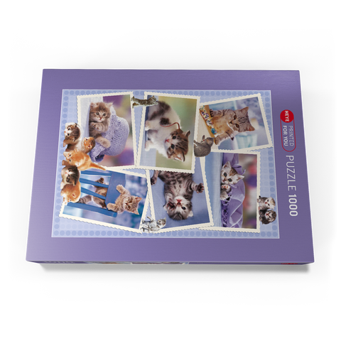 Cats - Monika Wegner - Little Friends 1000 Puzzle Schachtel Ansicht3