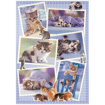 puzzleplate Cats - Monika Wegner - Little Friends 1000 Puzzle