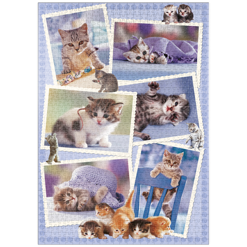 puzzleplate Cats - Monika Wegner - Little Friends 1000 Puzzle