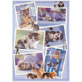 Darstellung des Puzzle Motivs Cats - Monika Wegner - Little Friends - Puzzleteile: 1000