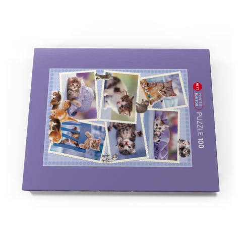 Cats 100 Puzzle Schachtel Ansicht3