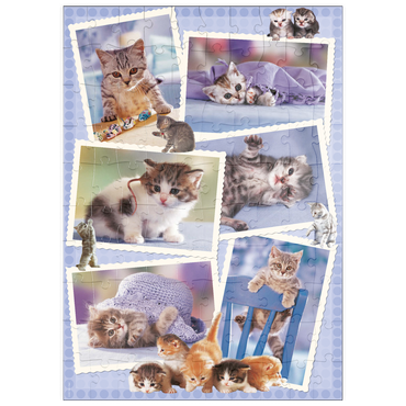 puzzleplate Cats 100 Puzzle