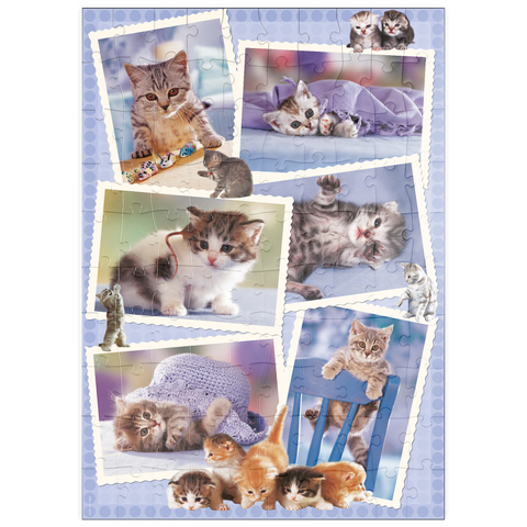 puzzleplate Cats 100 Puzzle