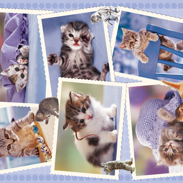 Cats 100 Puzzle 3D Modell