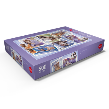 Cats - Monika Wegner - Little Friends 500 Puzzle Schachtel Ansicht1
