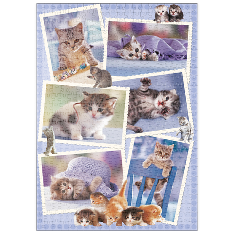 puzzleplate Cats - Monika Wegner - Little Friends 500 Puzzle