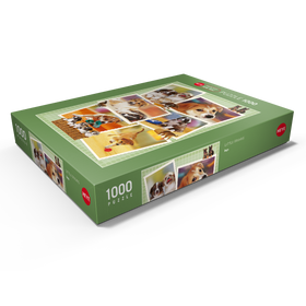 Darstellung des Puzzle Motivs Dogs - Monika Wegner - Little Friends - Puzzleteile: 1000