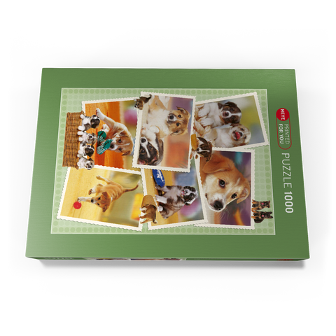 Dogs - Monika Wegner - Little Friends 1000 Puzzle Schachtel Ansicht3