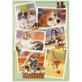 Darstellung des Puzzle Motivs Dogs - Monika Wegner - Little Friends - Puzzleteile: 1000