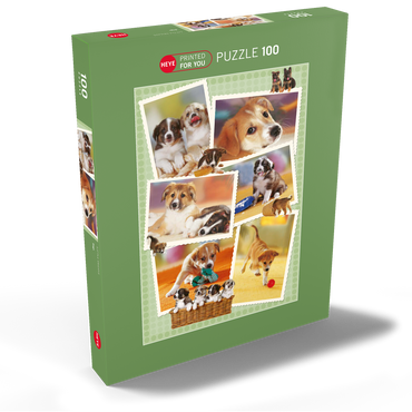 Dogs 100 Puzzle Schachtel Ansicht2