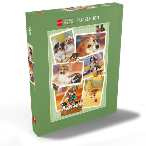 Dogs 100 Puzzle Schachtel Ansicht2