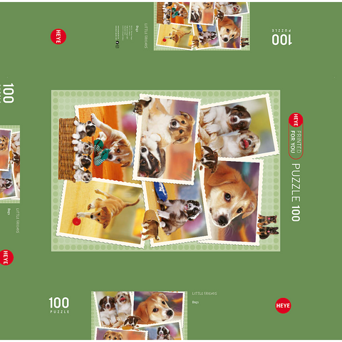 Dogs 100 Puzzle Schachtel 3D Modell