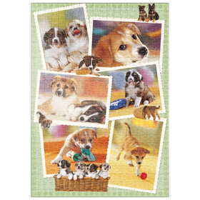 Darstellung des Puzzle-Motivs Dogs - Monika Wegner - Little Friends – Puzzleteile: 500