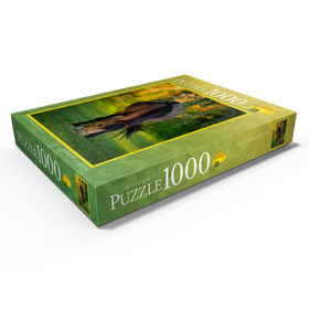 Darstellung des Puzzle Motivs Pony im Garten - Puzzleteile: 1000