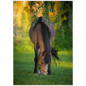 Darstellung des Puzzle-Motivs Pony im Garten – Puzzleteile: 1000