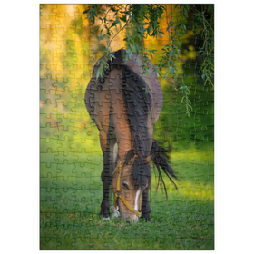 Darstellung des Puzzle-Motivs Pony im Garten – Puzzleteile: 200