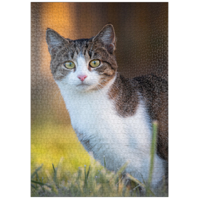 Darstellung des Puzzle-Motivs Minka im Tau – Puzzleteile: 1000