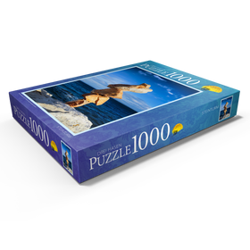 Alternative Darstellung des Puzzle-Motivs Steinturm – Puzzleteile: 1000