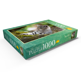 Darstellung des Puzzle Motivs Baumkatze - Puzzleteile: 1000