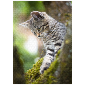 Darstellung des Puzzle-Motivs Baumkatze – Puzzleteile: 1000