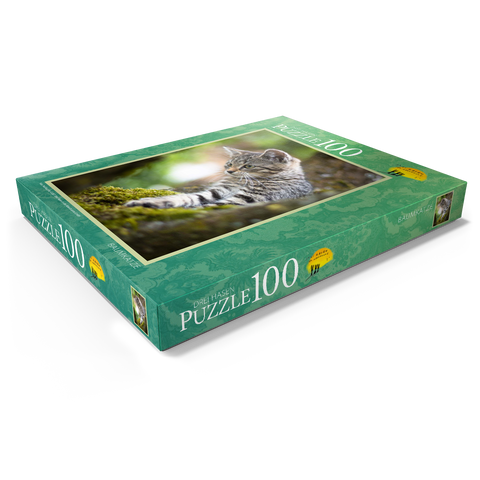 Baumkatze 100 Puzzle Schachtel Ansicht1