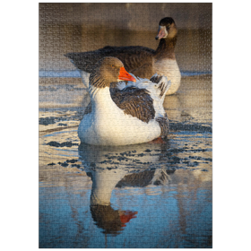 Darstellung des Puzzle-Motivs Hybridgans – Puzzleteile: 1000