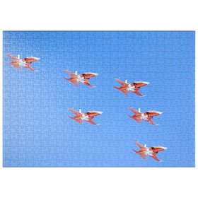 Darstellung des Puzzle Motivs Swiss Patrol, Northrop F-5E Tiger II - Puzzleteile: 500